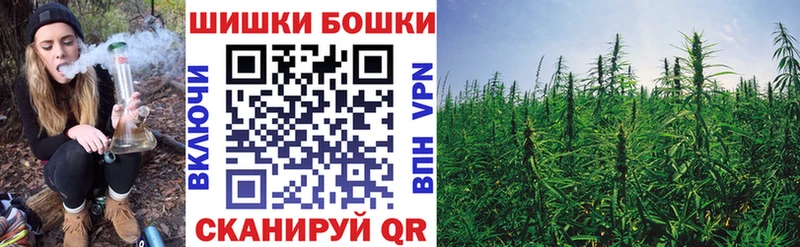 Где продают наркотики Грайворон Конопля СОЛЬ Гашиш Метамфетамин COCAIN Меф