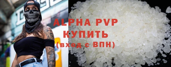 индика Михайлов